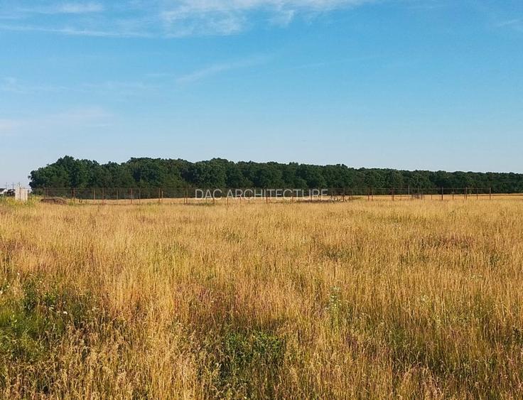 TEREN INTRAVILAN 794 MP MOARA VLASIEI / GRADISTEA - 3