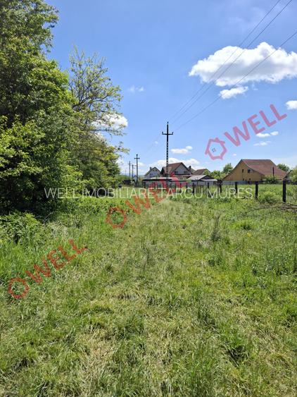 De vânzare teren intravilan de 30 000 m² (3 ha) în Reghin - 14