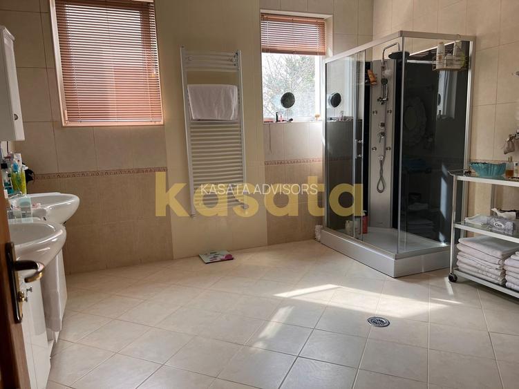 Vila deosebita 11 camere Erou Iancu Nicolae - 13