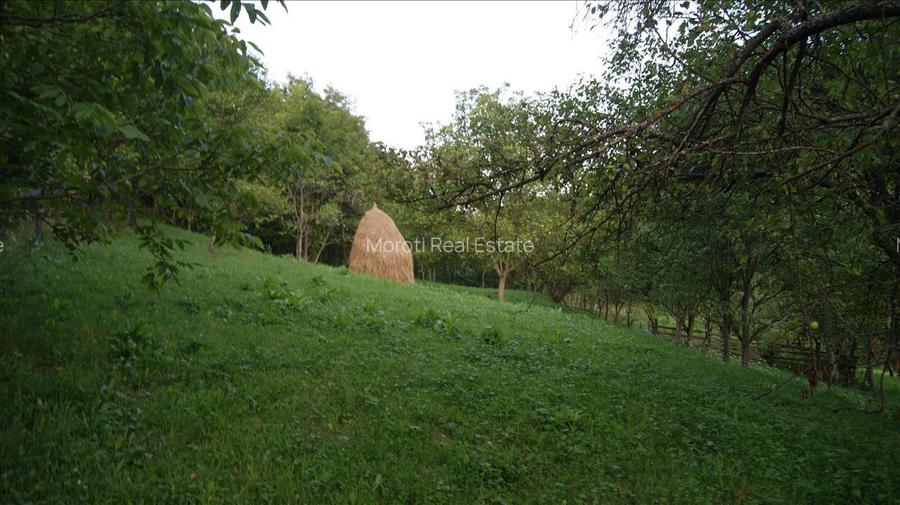 10 hectare teren plus casa la munte in Buces, Hunedoara - 10