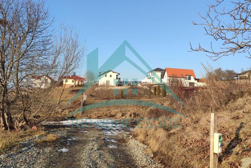 Teren extravilan in Popesti deal, comuna Baciu! - 4