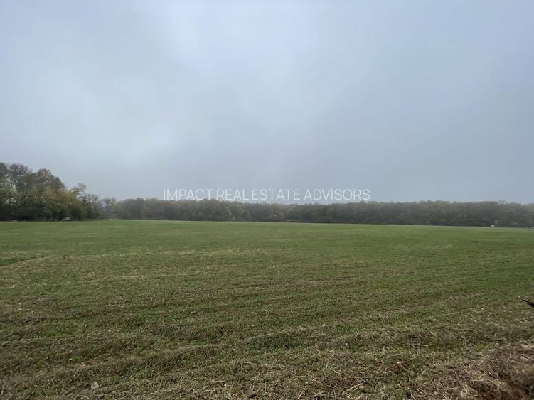 9400 mp | Ideal pentru investitie | Tunari | Deschidere la padure - 5