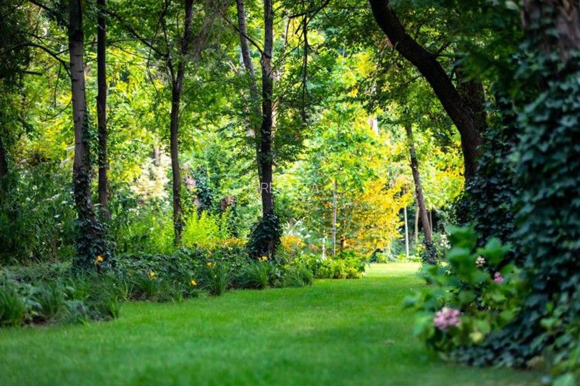 Apartament 4 camere de vanzare zona Floreasca Parcul Verdi, Bucuresti - 7