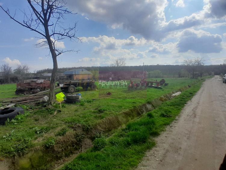 DE VANZARE TEREN 3400 MP IN SAT PODU ILFOVAT / COM BUTURUGENI (GR) - 21