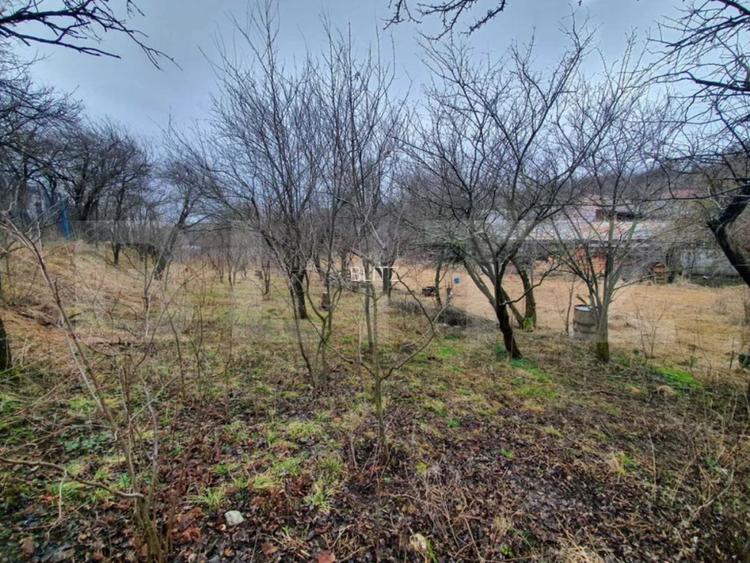 Casa cu teren generos în Ceanu Mic – 1.700 mp, la doar 20 km de Cluj-Napoca - 3