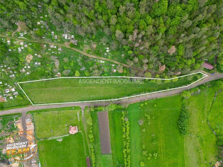 6.500 mp teren intravilan, la 10 min de orasul Covasna: Papauti - 4