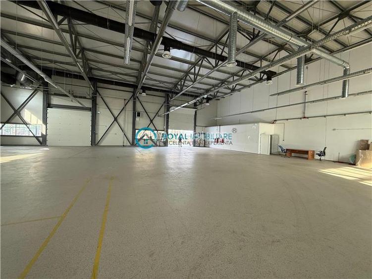 Royal Imobiliare-  Spatiu Industrial Zona Exterior Vest - 2