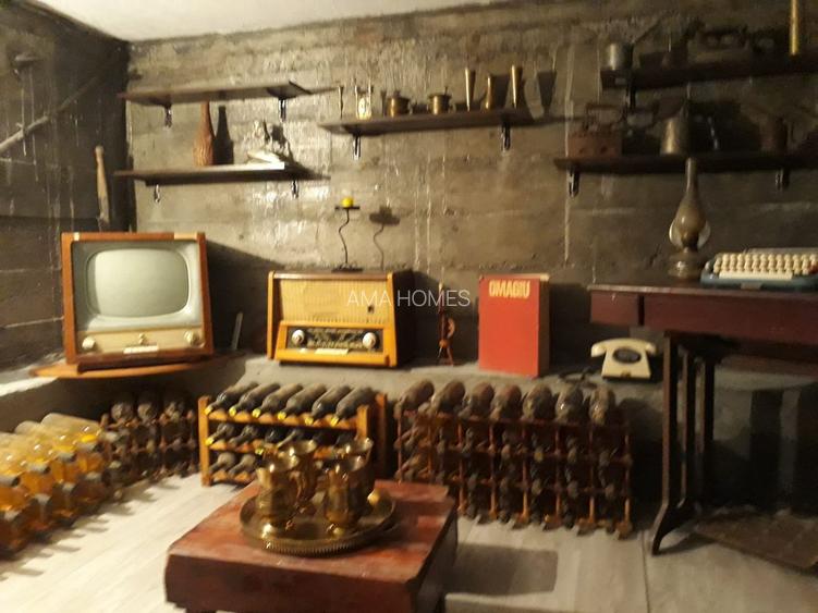 Proprietate unica Palazu Mare - 2 case , teren generos - 11