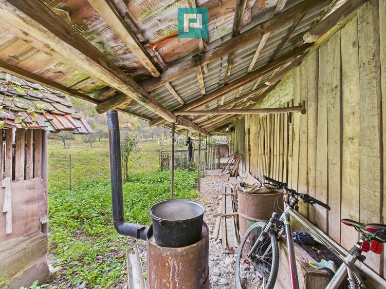 Casă renovată în localitatea Lazuri, Arad - 22