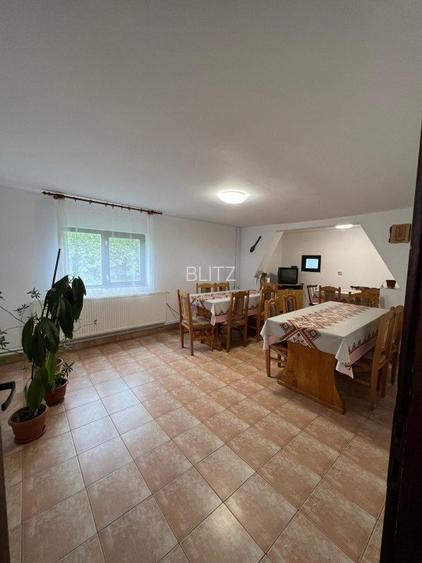 Cabana de 210mp, 2600 mp teren, in Rachitele - 2