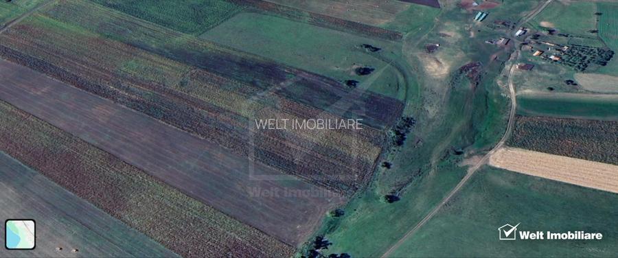 Teren nucifer cu plantatie de aluni, sat Frata, jud. Cluj - 12