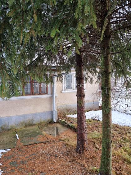 Casa 5 camere+ anexe cu teren 686mp - 19