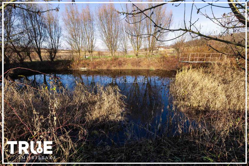 Complex Turistic AYMA – Reghin - De vânzare - 5