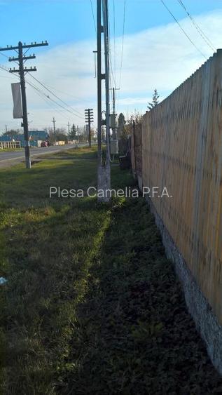 BUTIMANU - DN1A, CASA + TEREN 5000MP, DESCHIDERE 28 MP, - 13