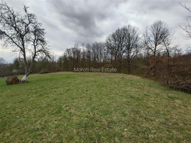 10 000 mp teren intravilan cu priveliste - 11