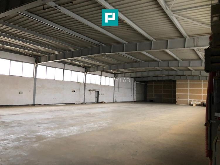 Hală cu teren intravilan de 3500 mp, în Sebiș Arad - 4