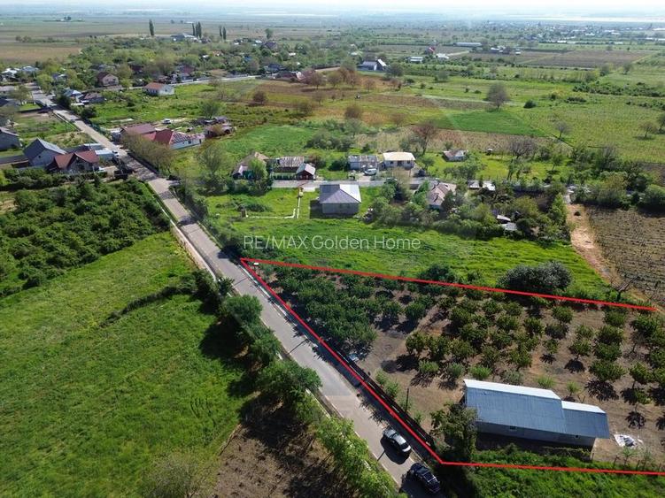 Casa cu 3094mp livada Cotesti - 6