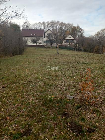 Vând teren intravilan 4062 mp - 9