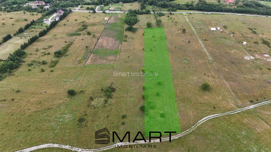 Teren intravilan 5000mp Valea Avrigului - 2