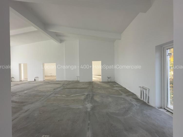 Spatiu magazin, productie, 202mp, Sipote - 17