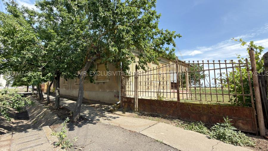 Casă 4 camere, Teren 1955 mp Str. Vezendiului Nr. 366 - Loc. Petrești, Satu Mare - 3