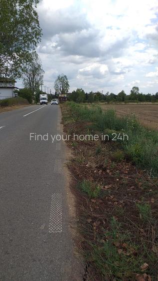 2 loturi Ciolpani-Izvorani intravilan total 5000mp - 2