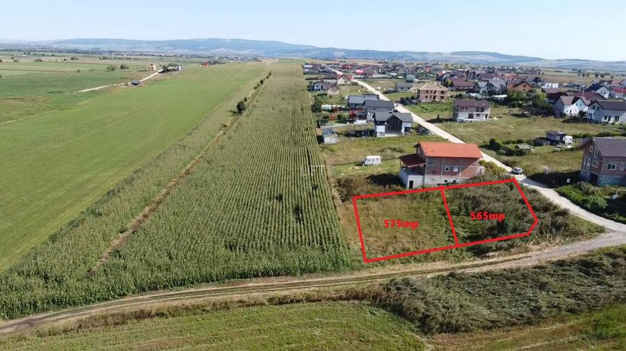 Teren intravilan 1.136 mp, 2 parcele alipite, Bod – utilitati la poarta - 3