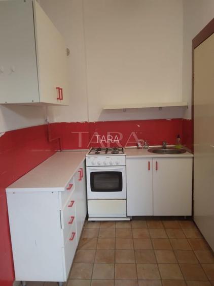 Apartament cu 1 Cameră și Curte – Gruia, Zonă de Case - 5