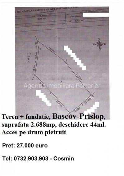 Teren Bascov, diverse suprafete - 4