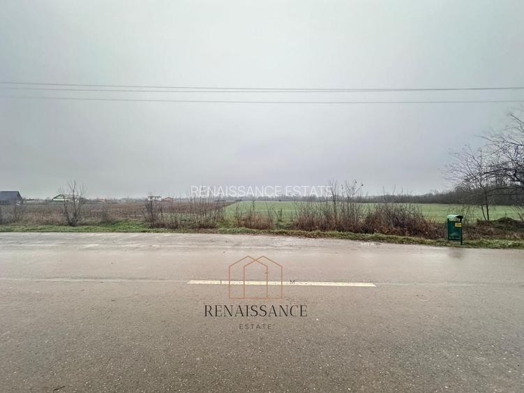 Giroc Teren 30.000mp PUZ APROBAT Pentru Case | Asfalt - Langa Padure - 3