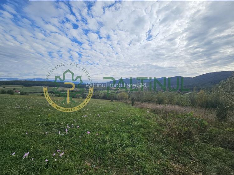 Teren de vanzare ,Tocile, Sibiu, case de vacanta si locuinte - 8