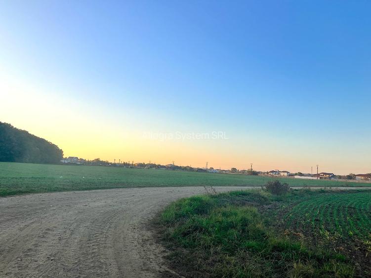 Vecin cu padurea - str. Plevnei - 5