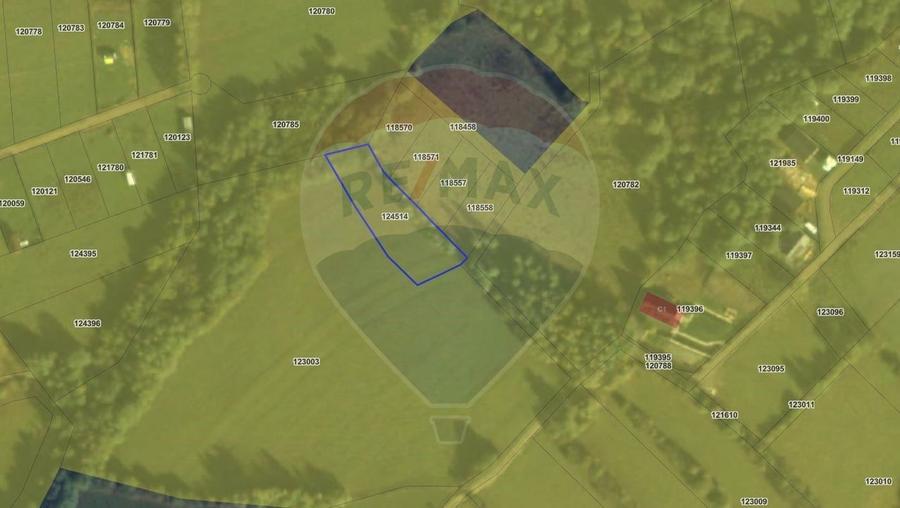 Comision 0% | Intravilan 1206 mp | Priveliste Bucegi,Magura,P Craiului