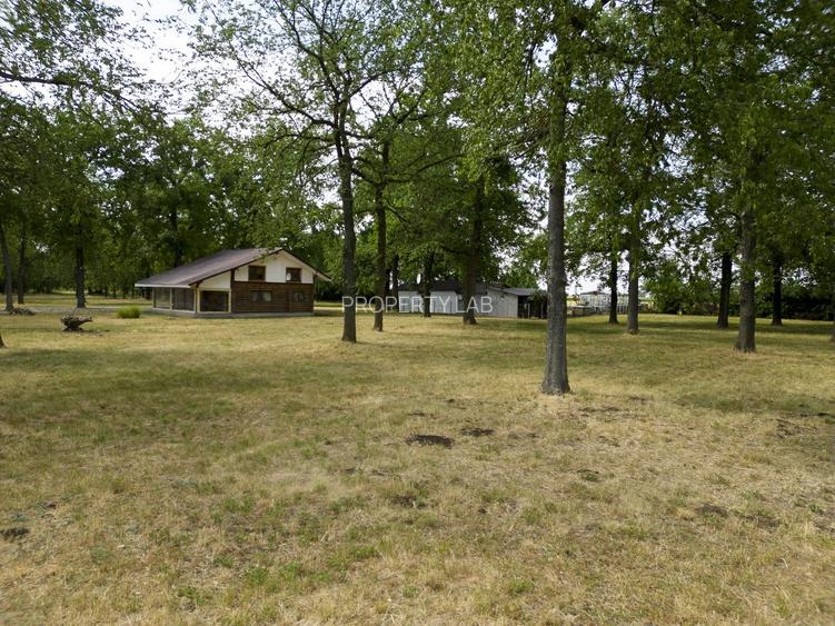 Teren intravilan Șofronea - 3