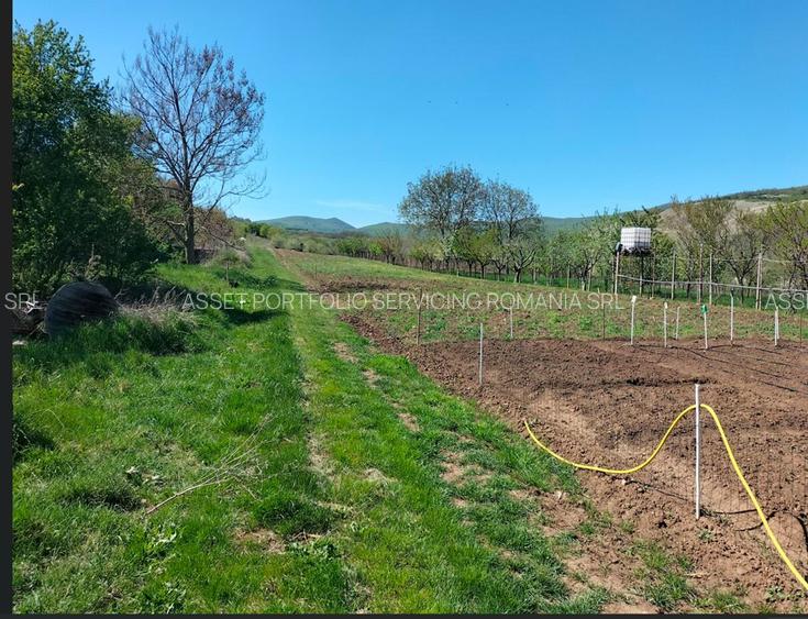 Parcele teren Paclisa, Jud. Arad - 2