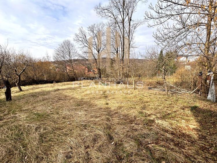 Casă individuală de vânzare – Valea Borcutului - 12