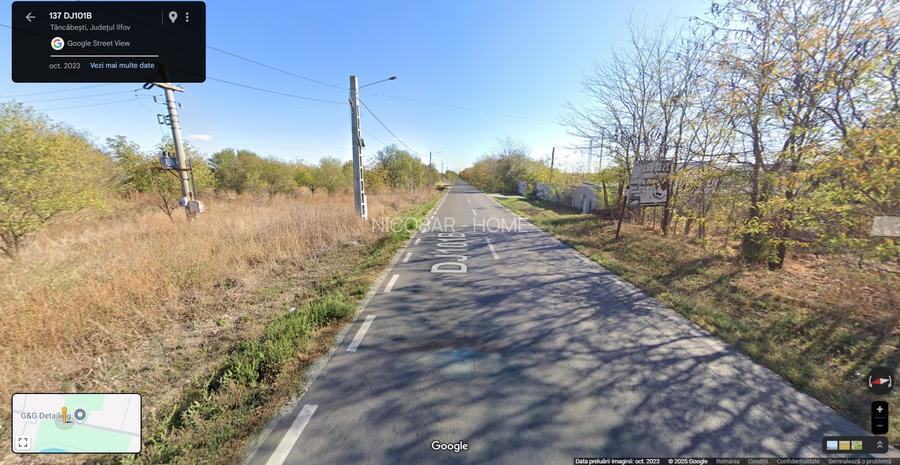 Vanzare teren intravilan Tancabesti / Snagov - 4