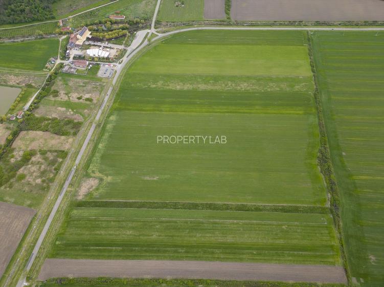 Teren extravilan de 22500mp Zona Ineu - 9