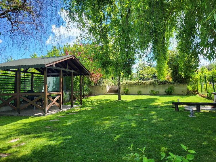 Dimineți pe ponton, seri la piscină – viața la Snagov. - 6