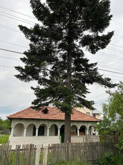 Vand casa la 20 min de București si 15 min de Ploiesti - 8