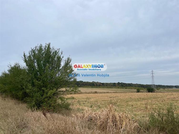 Vanzare teren 3300 mp Peris -deschidere padurea Scrovistea - 5