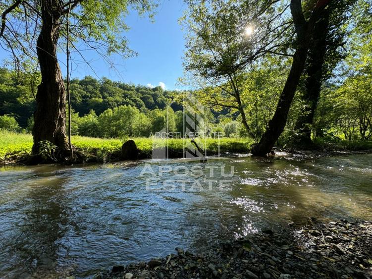 Teren de vanzare pe marginea raului, 1300mp, in Gros, Hunedoara - 4