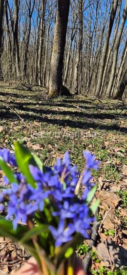 Casă nouă 3 camere 2 băi Parc Natural Comana Vlad Țepeș proprietar - 11
