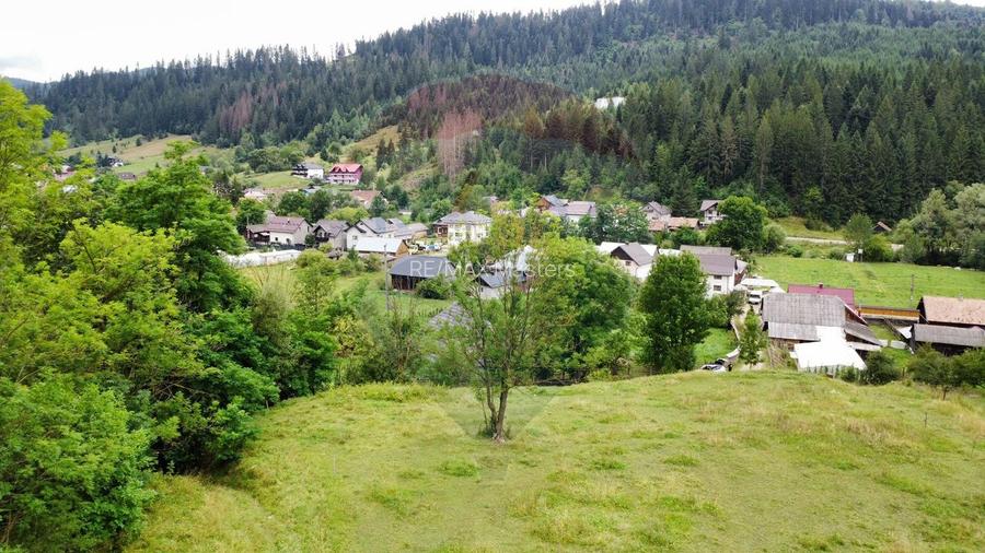 Teren 6,865mp Voroneț / Gura Humorului / Bucovina - 9