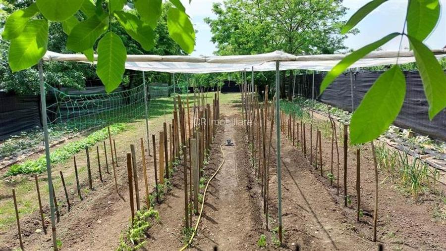 Vand casa mobilata, utilata, gradina generoasa, transport microbuz si tren spre - 7