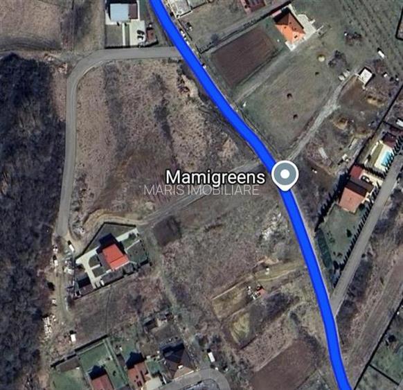 Vanzare 9 ari teren intravilan Tg. Mures Str. Zeno Vancea. - 4