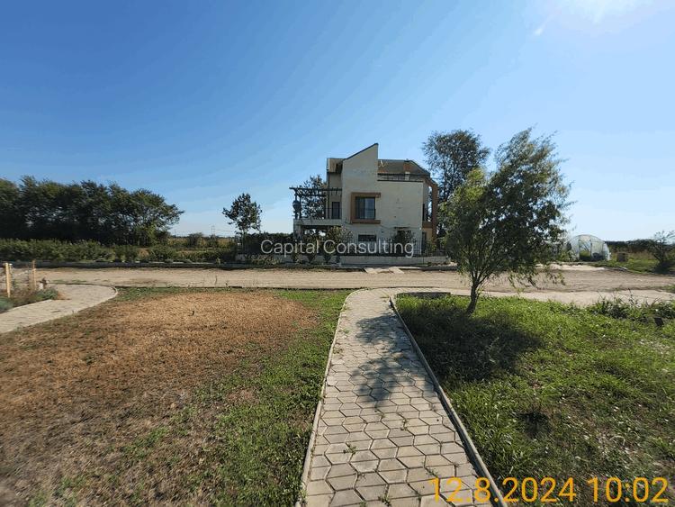 deschidere 20m la DJ412 P+1+M PUZ utilitati - 4