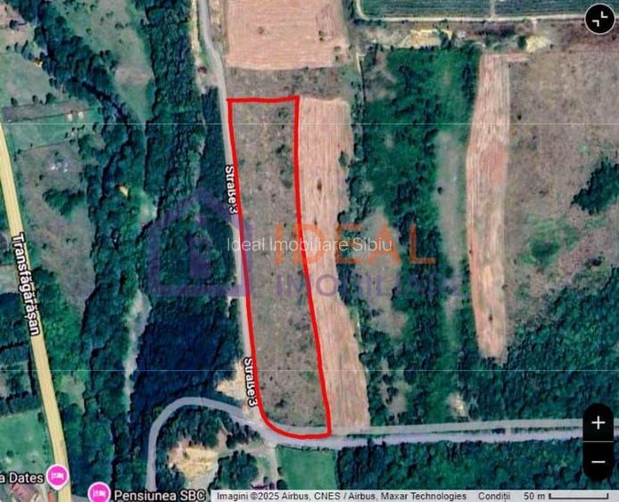 Teren extravilan 6.500 mp – două căi de acces, Cârțișoara - 8