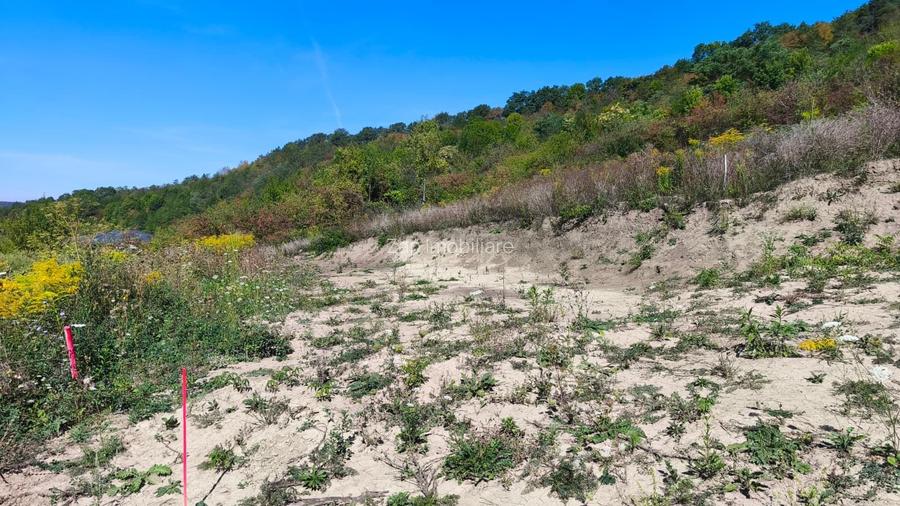 Corunca - 650 mp cu PUZ - zona superba si linistita - 3