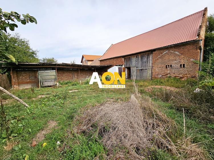 Casa cu 4 camere, 2024 mp teren, la asfalt, cu utilitati, Vintu de Jos - 19